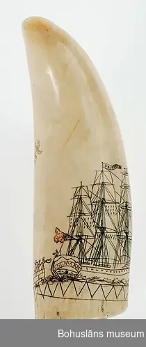 Tand av kaseklott med ingraveringar.
Motiv: Segelfartyg, en fullriggare (klipperfartyg?), kanske ett valfångstfartyg, med vimpel med ordet "Farewell" inristat på en vimpel i högsta masttoppen, stormasten; på mesanmastens gaffel syns engelska örlogsflaggan. På en kaj snett akterut syns tre vinkande personer. En man på segelfartygets däck. Fartygets sidor har antydningar av målade portgångar, efter idé från örlogsfartygens kanonportar. Ett mode i handelssjöfarten vid den tiden.
Palmkvistar med frö- eller fruktställningar, troligen en fantasiskapelse, i en kruka på tandens andra sida.
Det ristade/graverade mönstret är infärgat i både svart och rött.