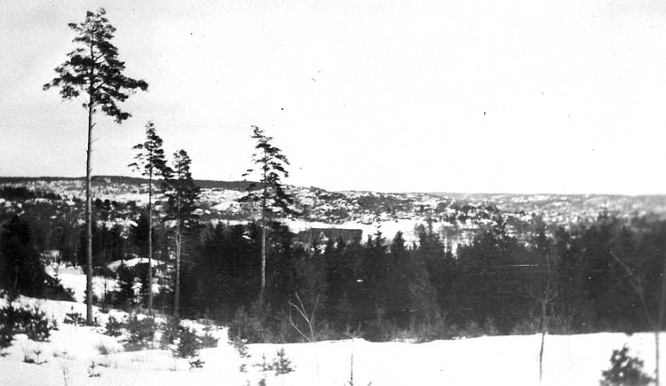 Enligt text på fotot: "Utsikt från Limaskogen mot Boxhult, vars byggnader synas på fältet bortom skogssidan".
