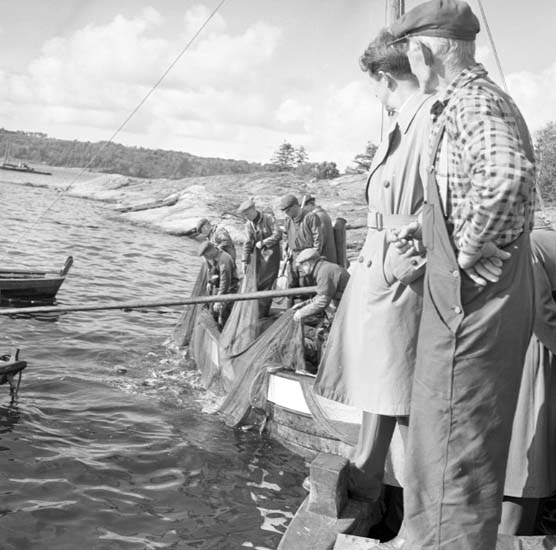 Snörpvadsfiske vid Slussen 1958.