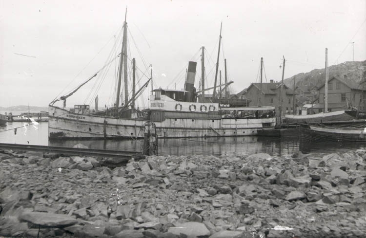 Noterat på kortet: "Lysekil. Pass. båten Norrviken i Lysekils norra hamn."
"Foto 1920. Köpt av D. Samuelson. Dec. 1958."