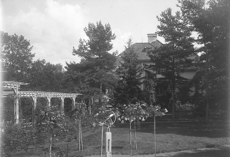 Enligt fotografens journal nr 5 1923-1929: "Kullgren, Stadsmäklare Stenungsön".
Enligt fotografens notering: "Stadsmäklare W. Kullgren villaträdgård".