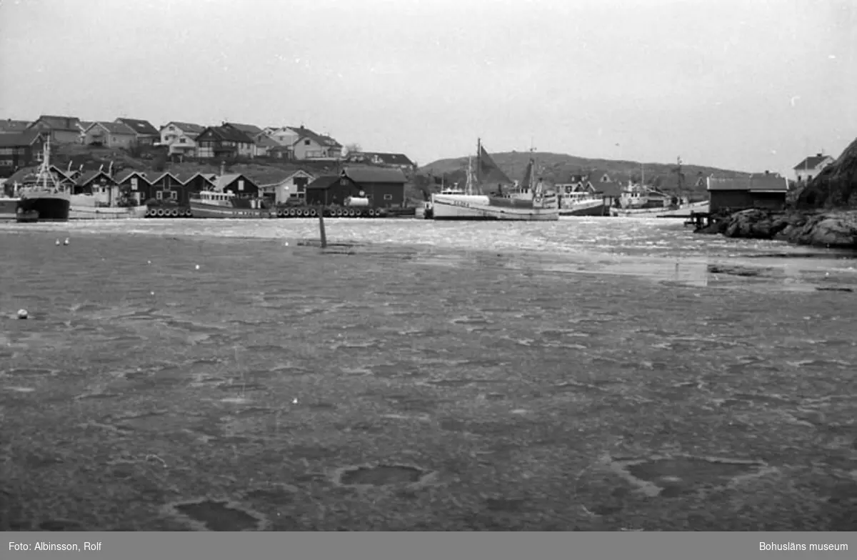 Enligt fotografens noteringar: "Bild från Nya hamnen. Här ligger de flesta av fiskebåtarna."
Fototid: 1996 den 12 januari.