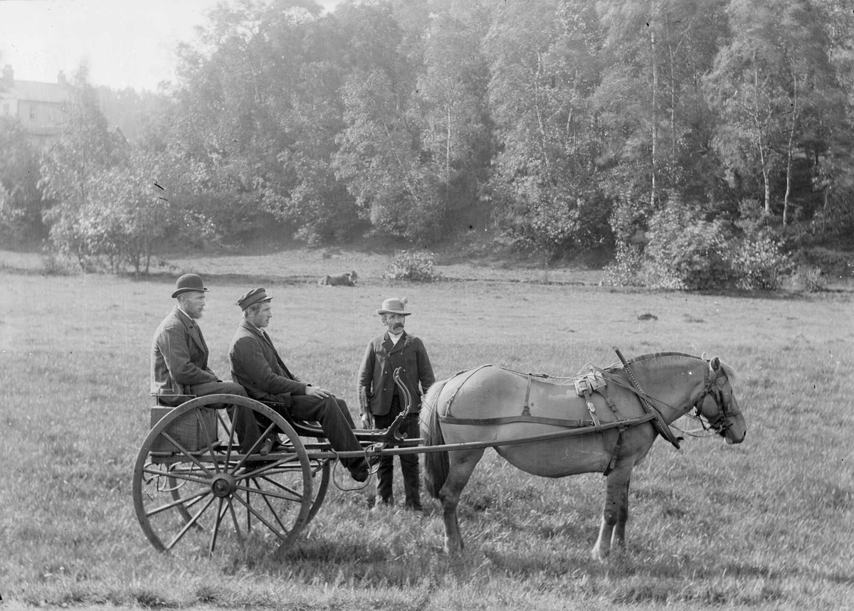 Hest Og Kjerre Ved Haugekrossen Dalane Folkemuseum Digitaltmuseum 