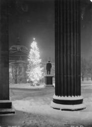 Juletreet på Universitetsplassen.