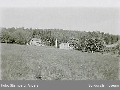 Måvikens f.d. sågverk, Nordingrå, Kramfors kommun; bostadshus och pålrester, dykdalb.