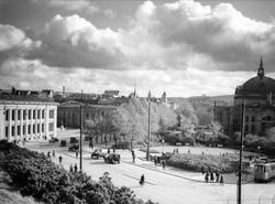 Utsikt fra Abelhaugen