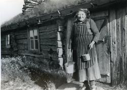 Ragnhild Lillejordet 53/8  (1873-1963), fødd Semle frå Nord-