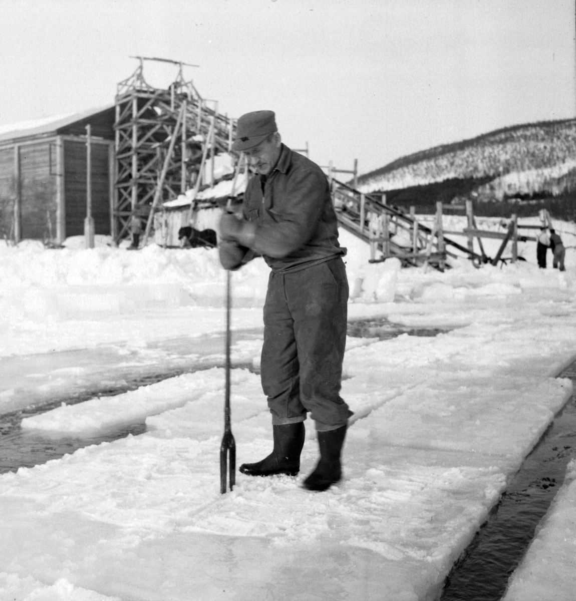 Isskjæring på Møkkelandsvannet, 1954. Johnny Jensen, Møkkeland, arbeider. Isen skulle brukes hos Bertheus Nilsen i byen.