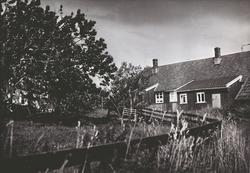 Bolighus i Buene, Sarpsborg med hagen i forgrunnen.