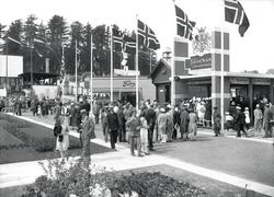 utstilling, Østfoldutstillingen, eksteriør, publikum, Østfo