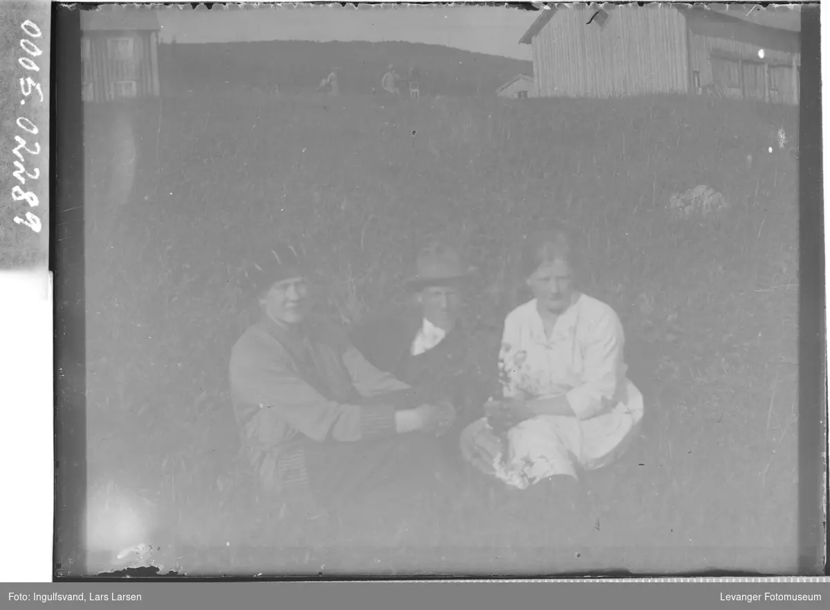 Gruppebilde av to kvinner og en mann som sitter i en eng.