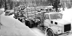 Skogsdrift. Tømmertransport med bil. Fremst Volvo N12-serien
