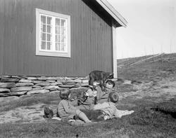 Goppollen. Geitekillingene på skulderen. Krekkje Seter. Mann