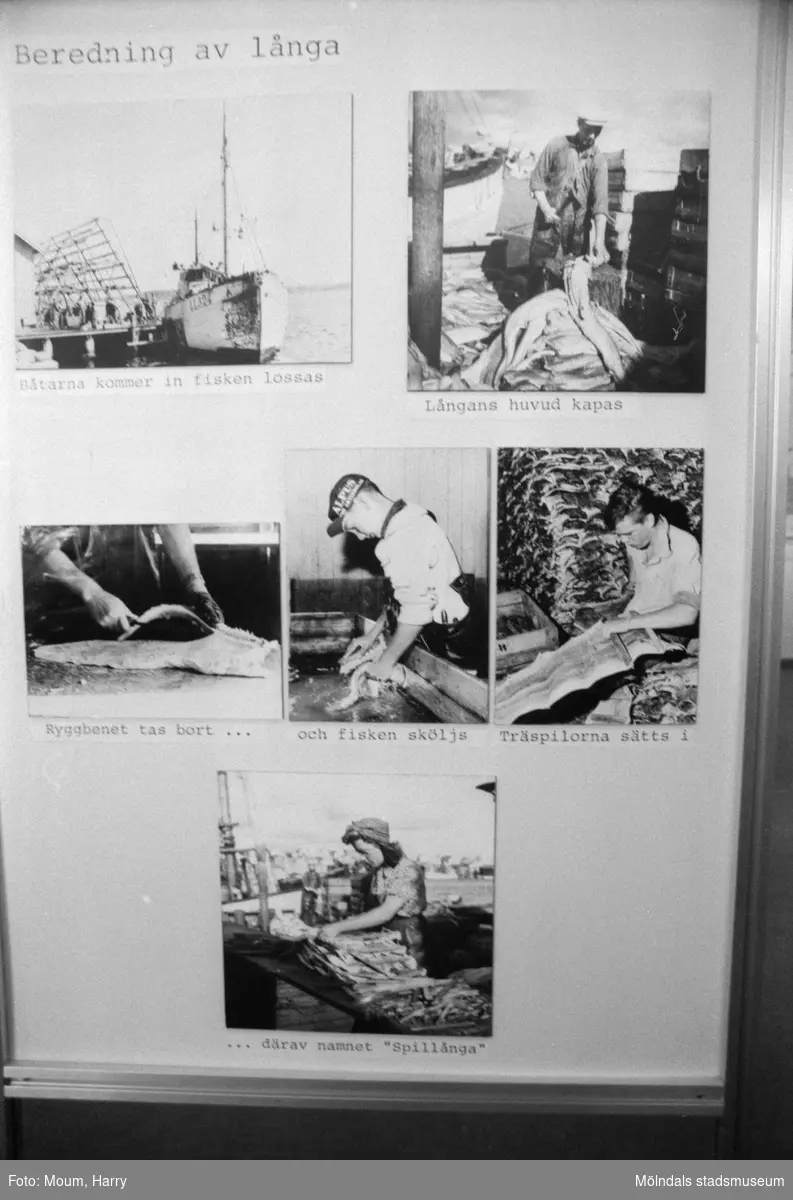 Utställningen KUST på Lindome bibliotek, år 1984.

För mer information om bilden se under tilläggsinformation.
