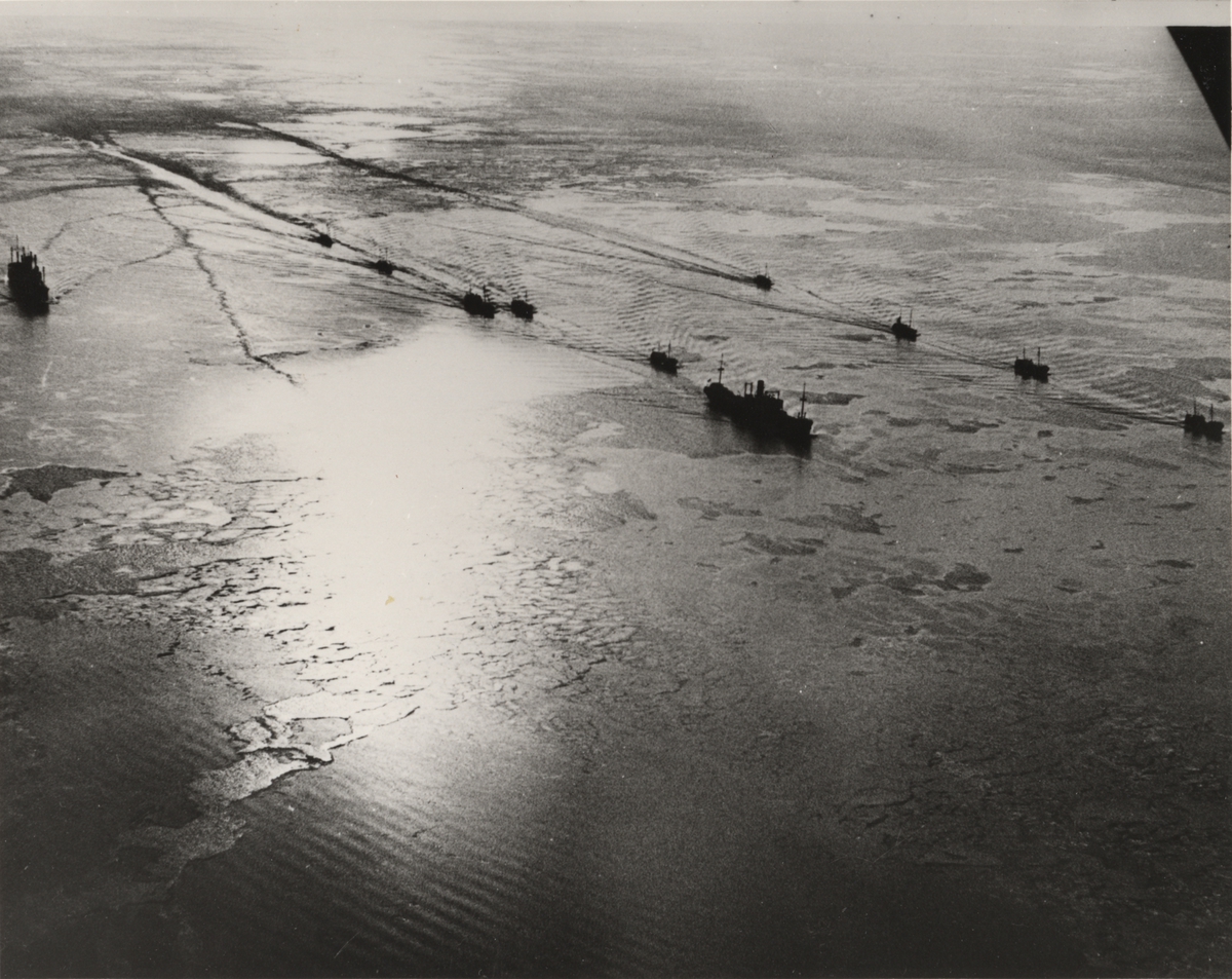 Iskonvoj i Öresund i januari 1963. Det främsta fartyget i mitten är det ryska ångfartyget SEVEROMORSK av Leningrad.