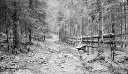 Den eldste Sørkedalsvei, vest for Bogstadvannet.