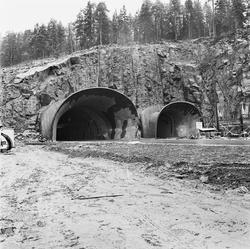 tunneler, tunnelåpninger, skilt, vei, skog