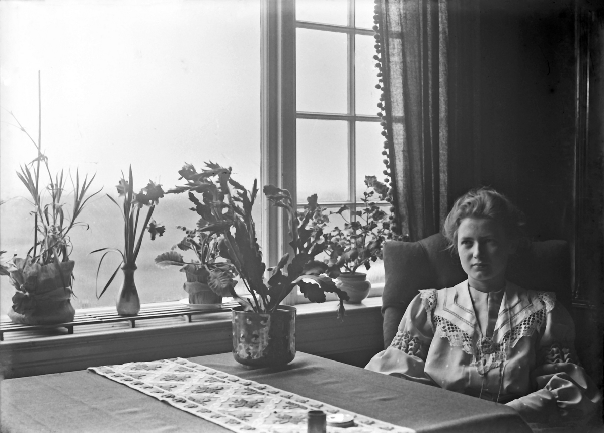 Interiør - Portrett av kvinne ved vinduet