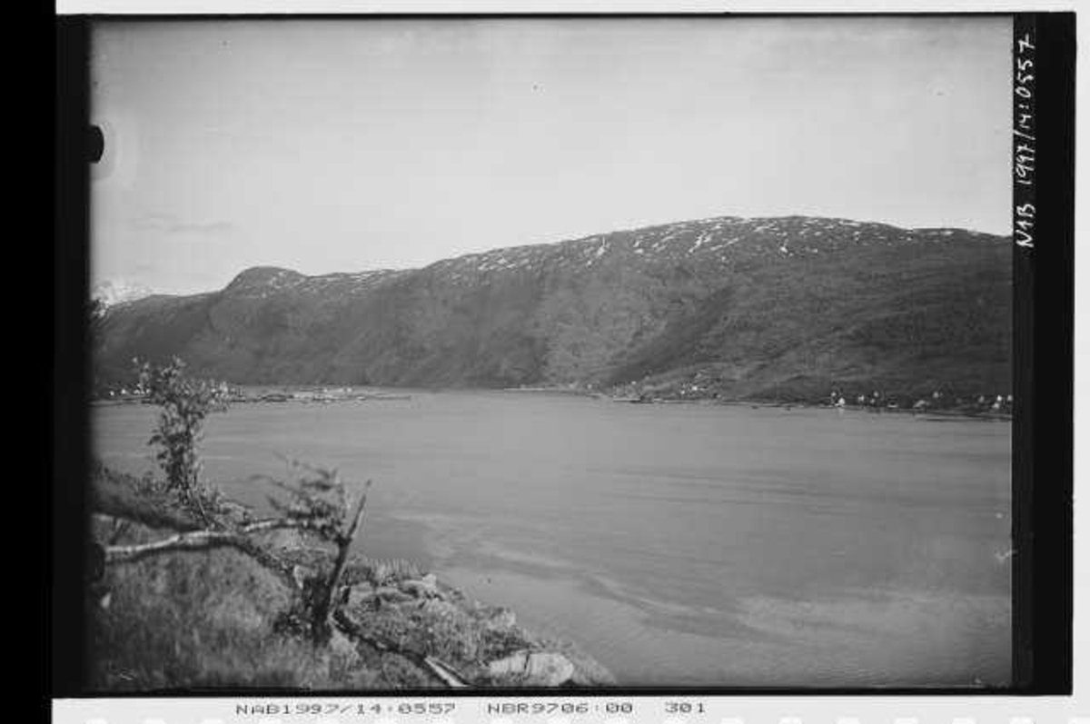 Narvik havn med Fagernes med innløpet til Beisfjord.  Ankenesfjellet med Harhausen  i bakgrunnen. Bildet er tatt fra Framnes.