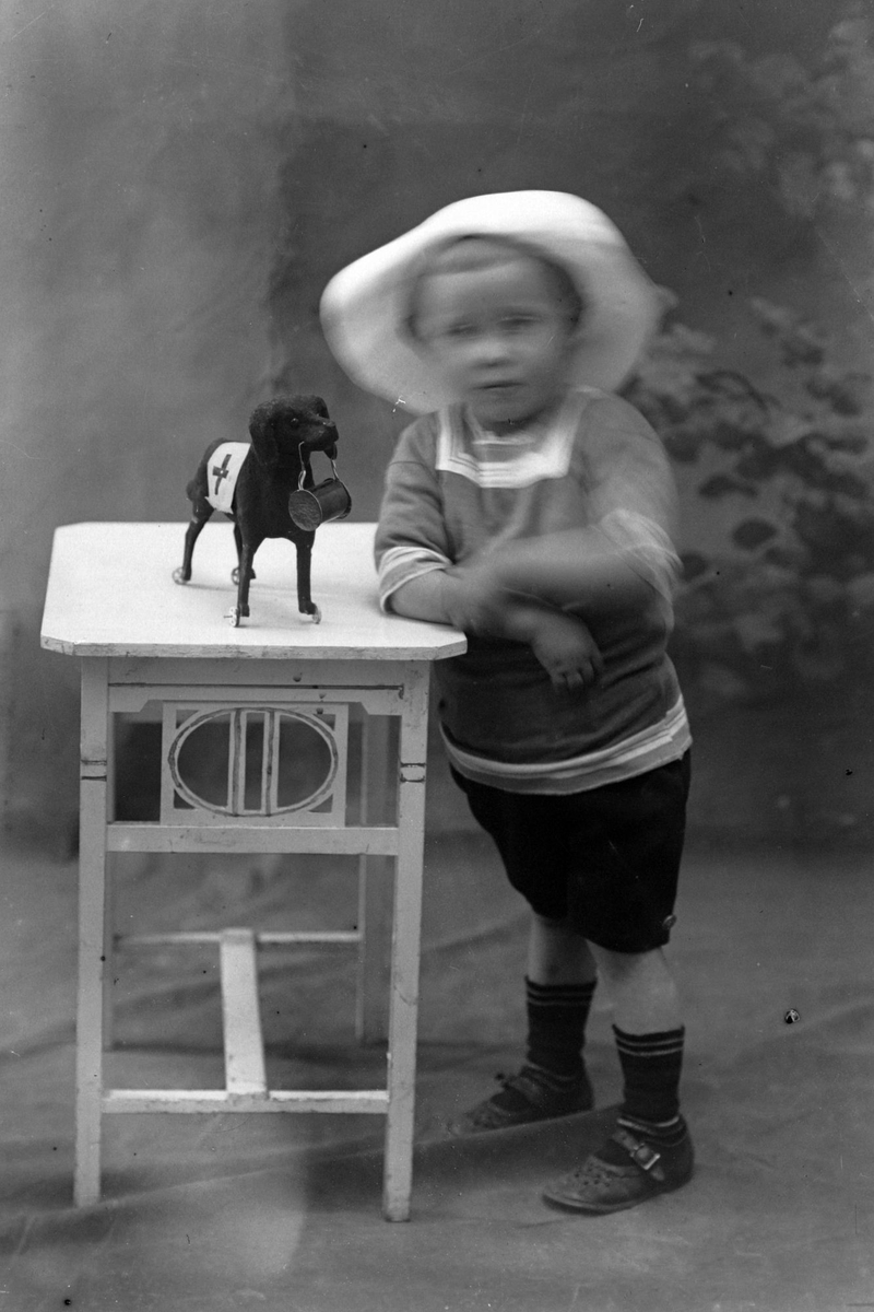 Studioportrett av et lite barn med en lekehund.