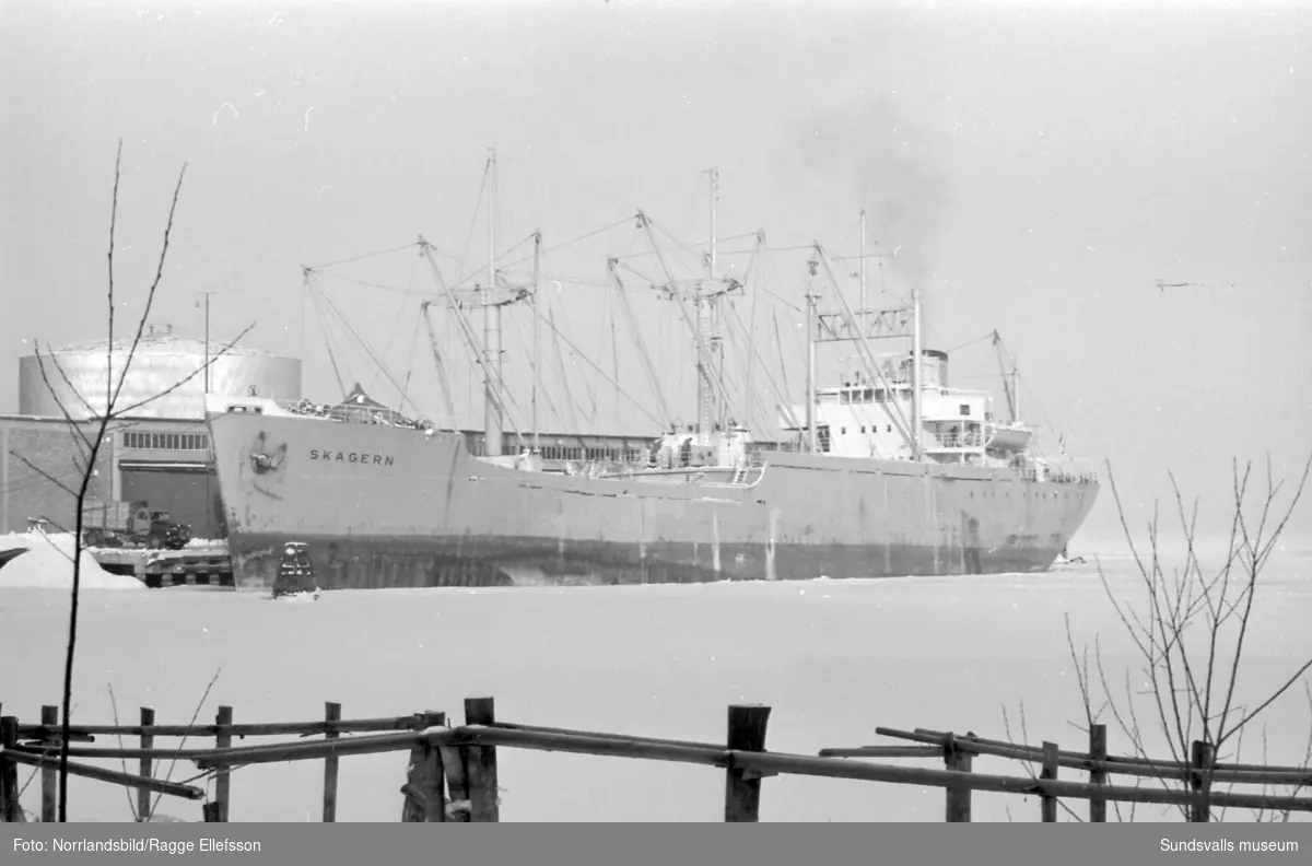 Sista båten lämnar Sundsvall före isstoppet, Skagern. Fotograferat för Expressen.