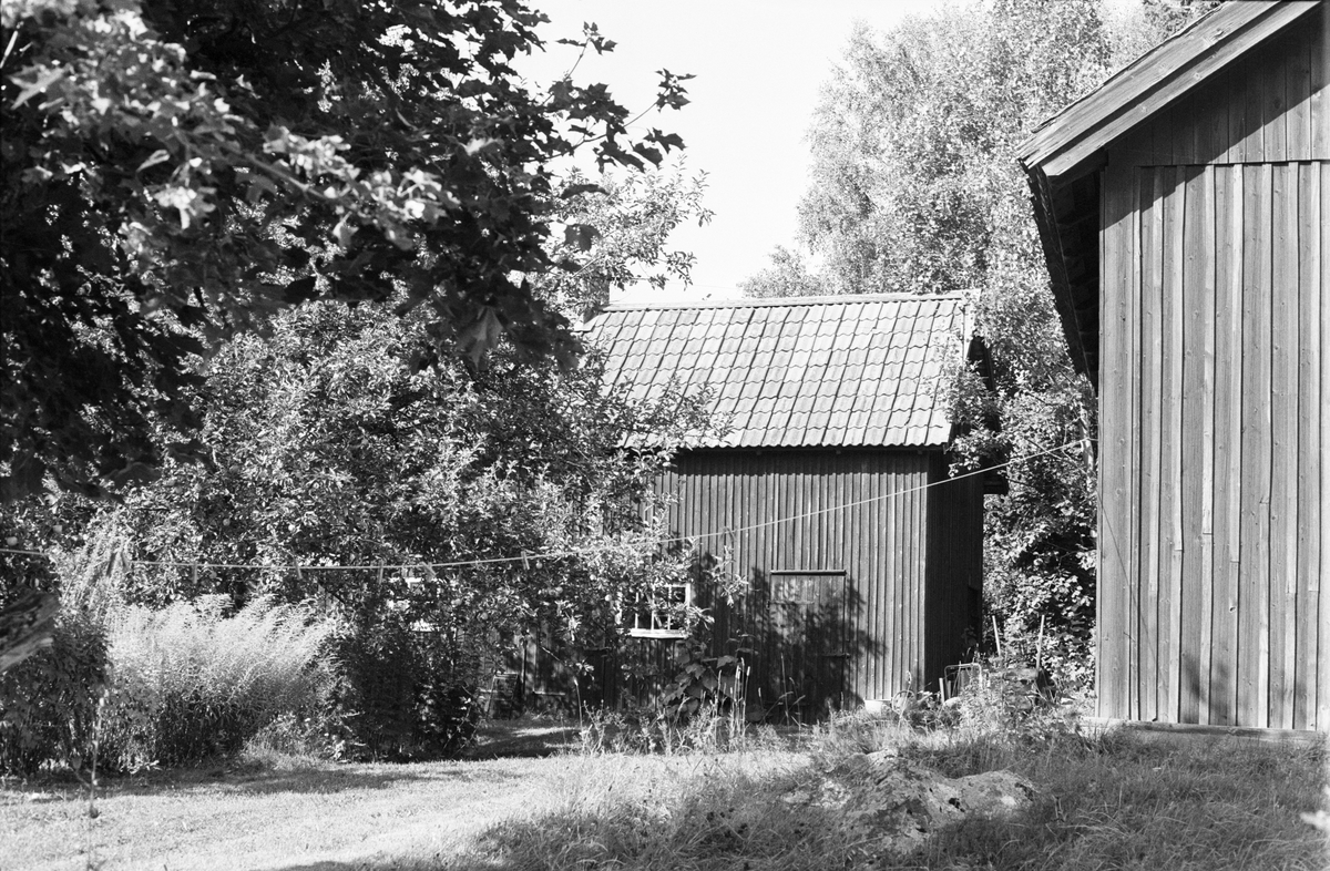 Uthus, Tibble 5:20, Rasbokils socken, Uppland 1982