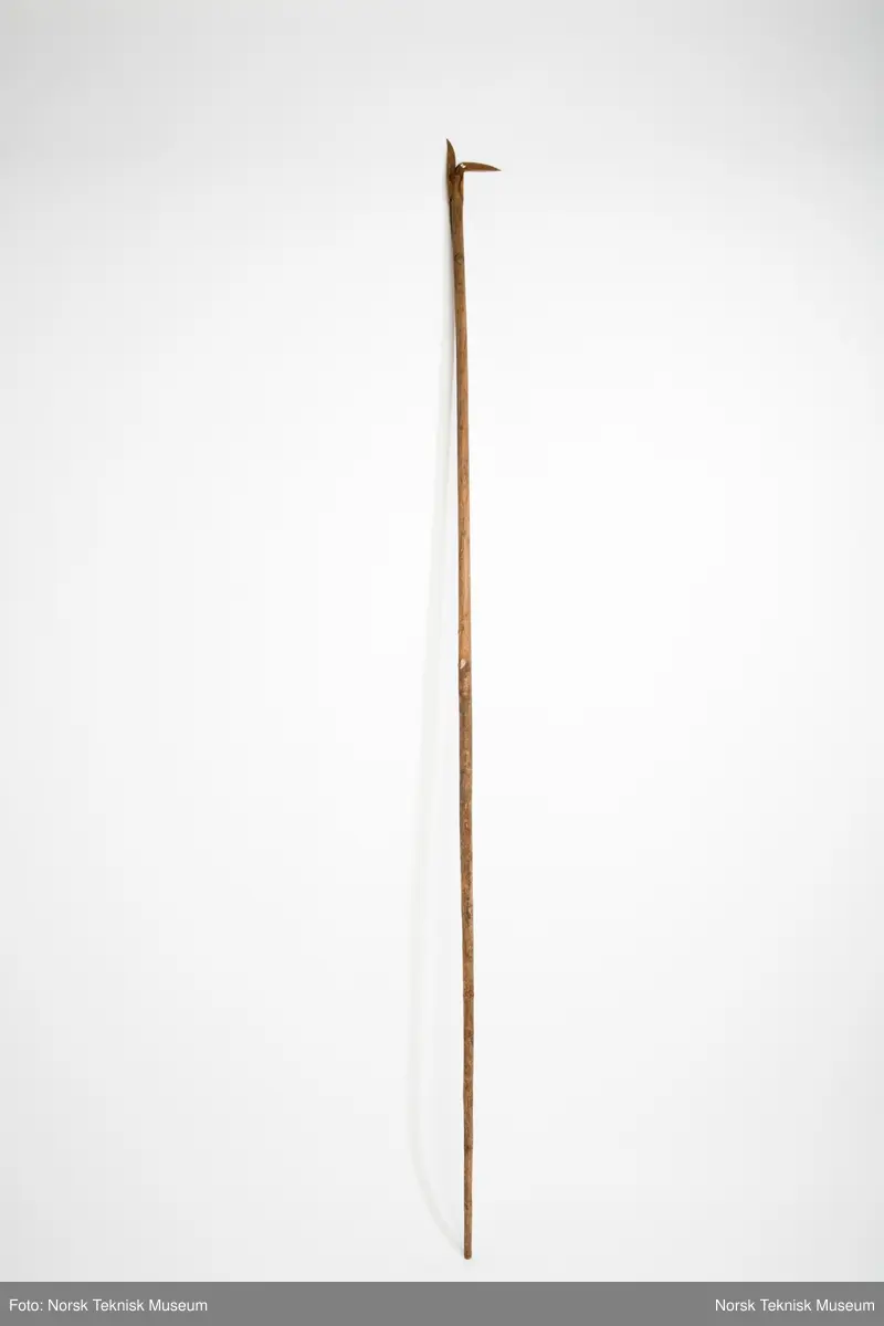 Bark på stang
Papirrester under naglehoder