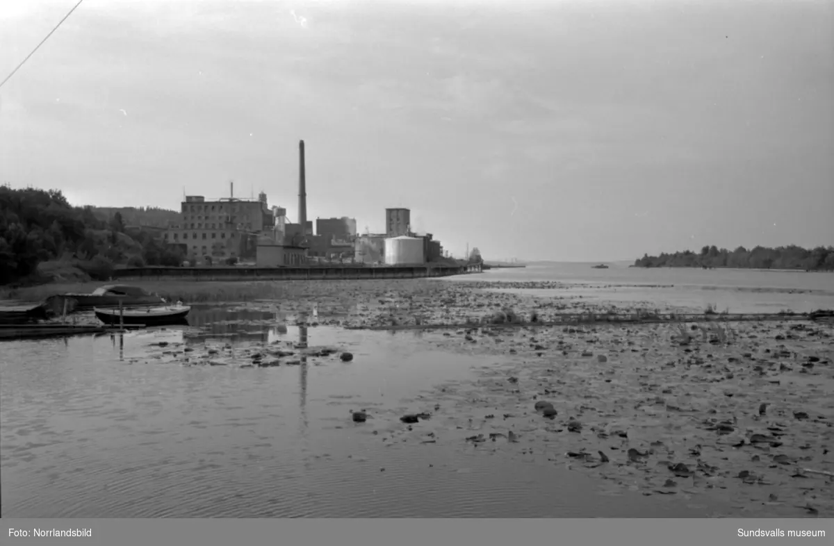 Föroreningar vid Svartviksfabriken.