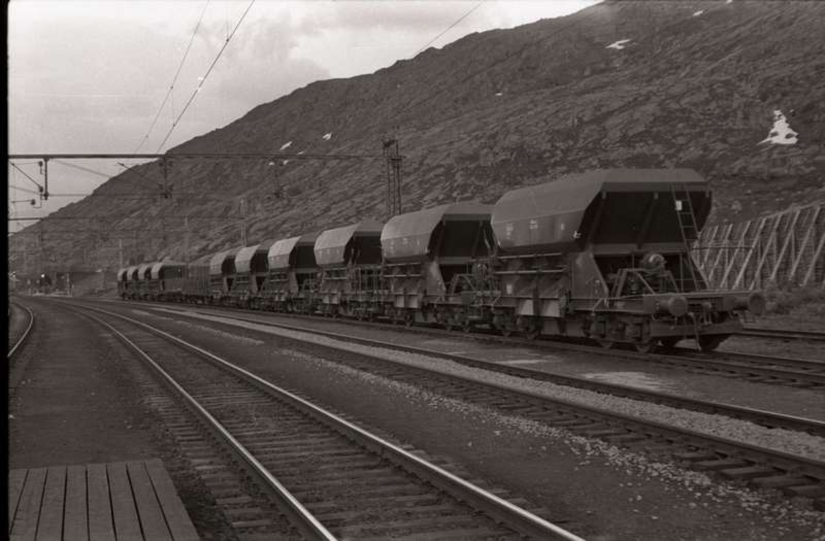 .Arbeidstog i spor 4 på Bjørnfjell stasjon, Ofotbanen. De 10 store vognene er pukkvogner.