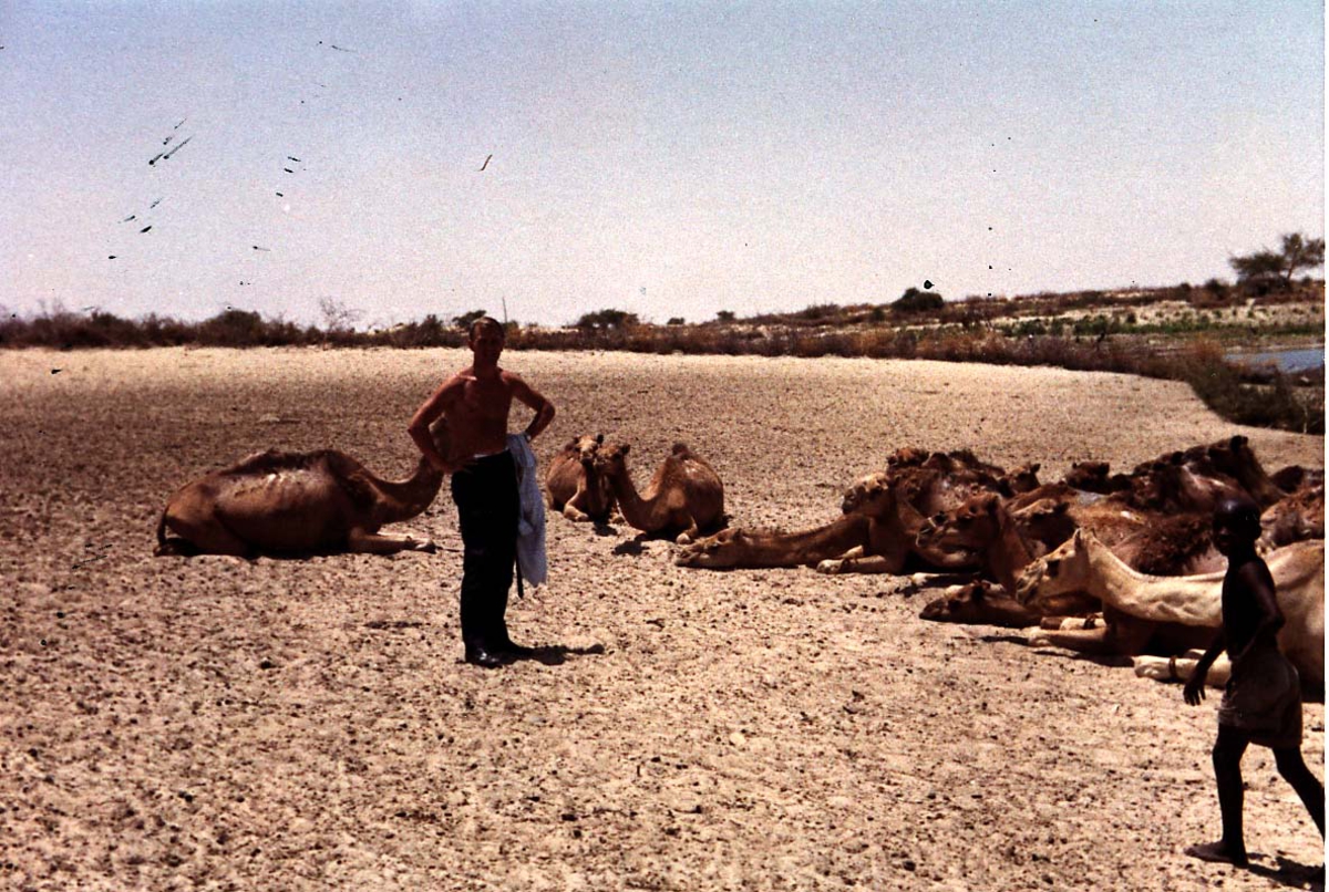 Portrett. 2 personer ved elvebredden. Flere dyr, kameler, ligger på bakken (sandyne).