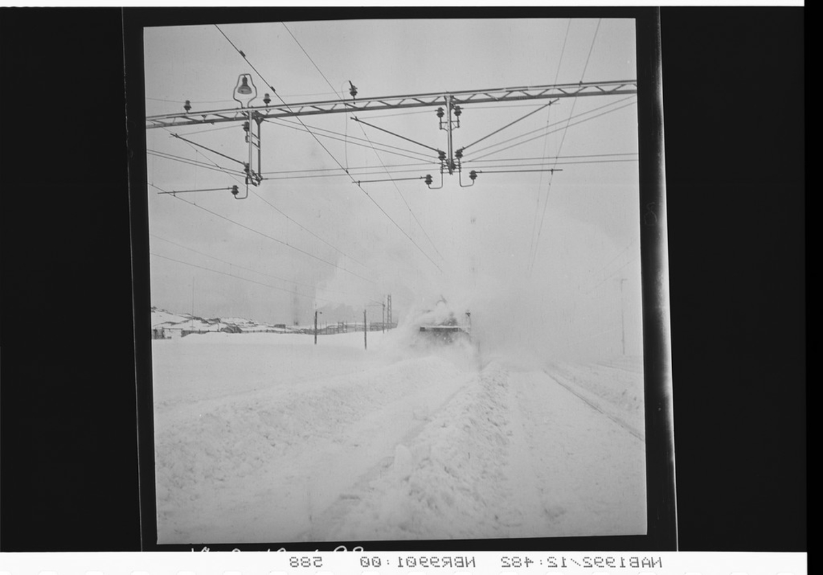 Bjørnfjell. Snørydding langs jernbane, lokomotiv med fres. Nedsnødde togspor.