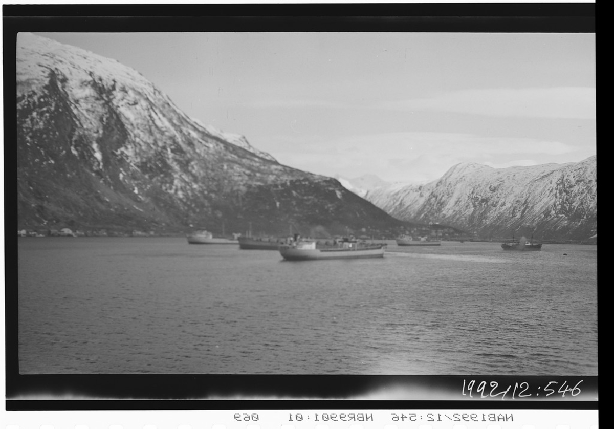 Lasteskip i Narvikbukta, Fagernes og del av Beisfjord i bakgrunnen.