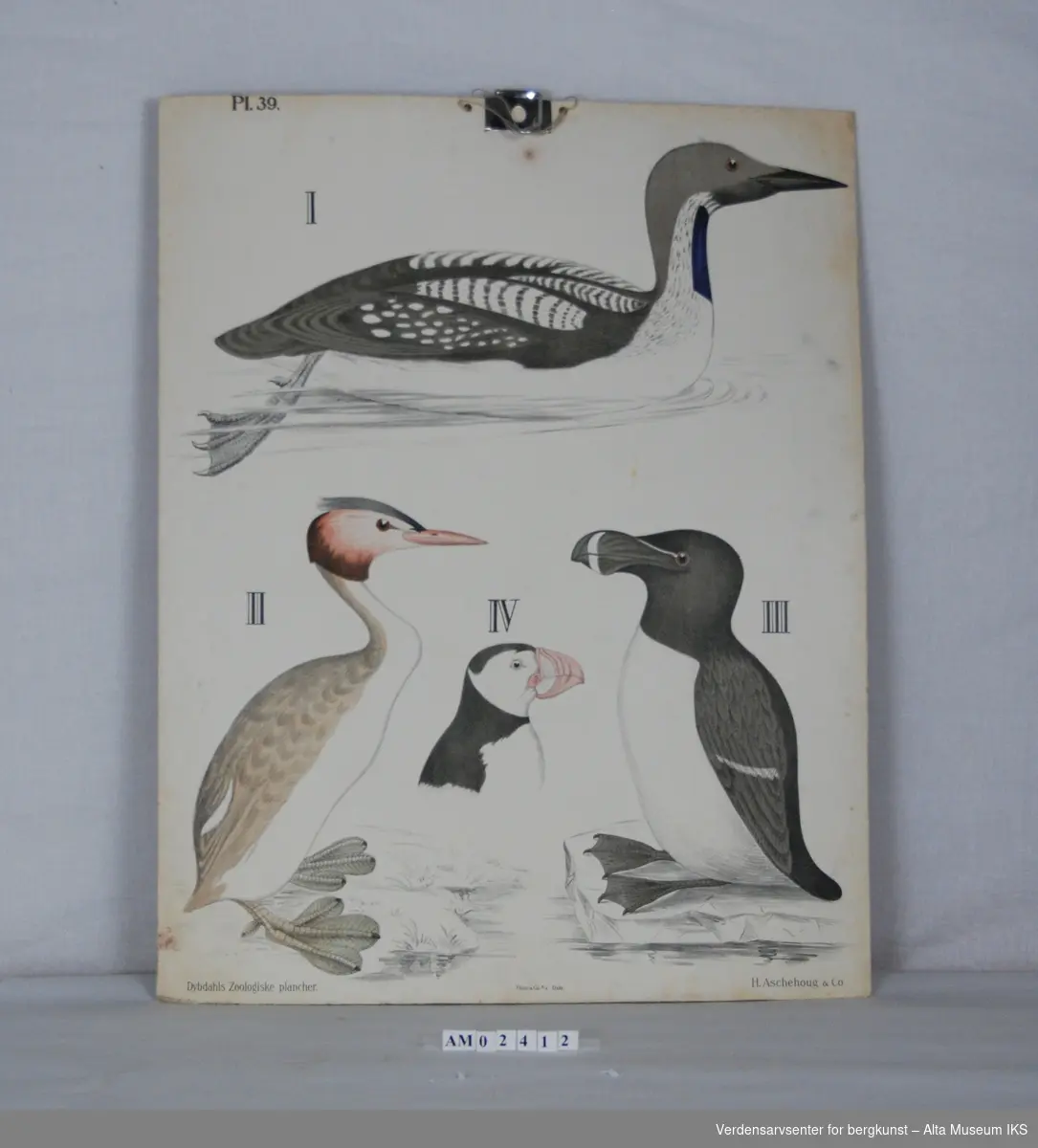 Form: Plansjer av dyr,fisker og fugler

14-50

75,5x59,5cm