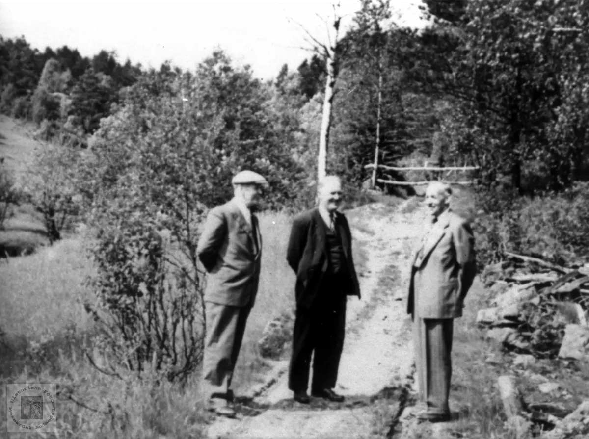 Beint Pederson Skjævesland, Alfred Høye og Mikkel Mo.