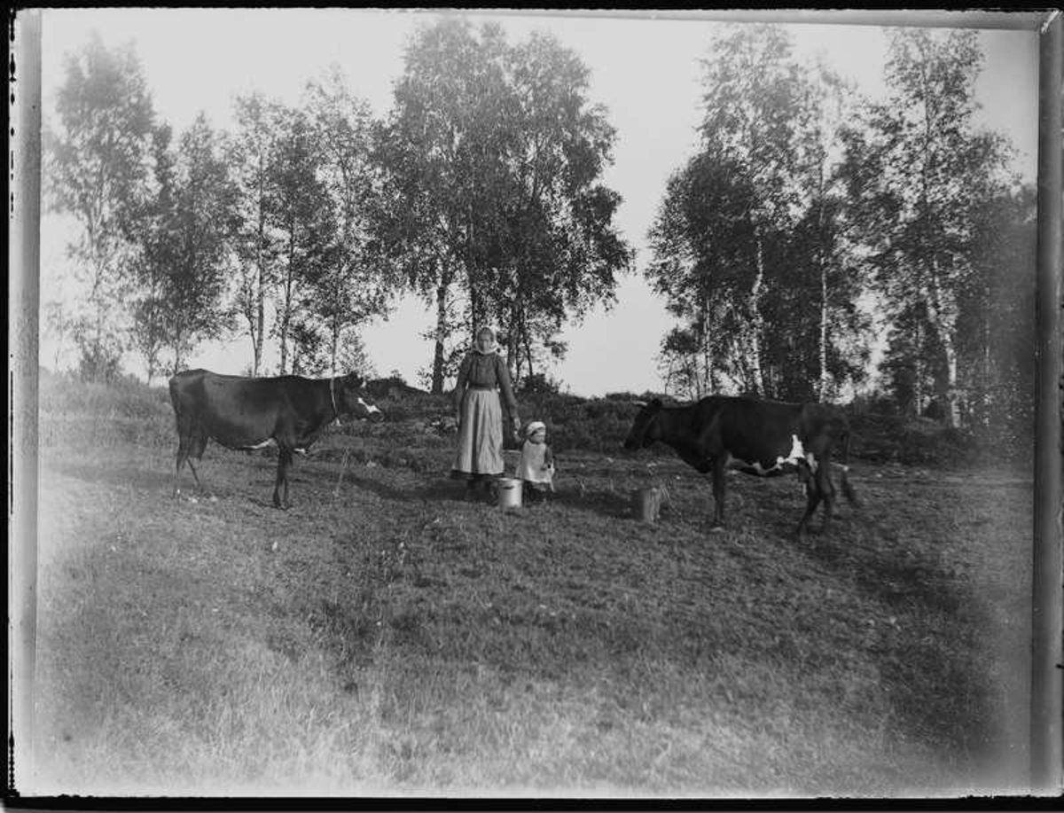 Olga, född Olsson, Forshälla 1891-05-12, Sven Jonsson, Hjärtum 1915-05-14. Kortet taget i samband med att korna skall mjölkas.