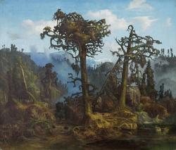 Gamle Furutrær [Olje på lerret]