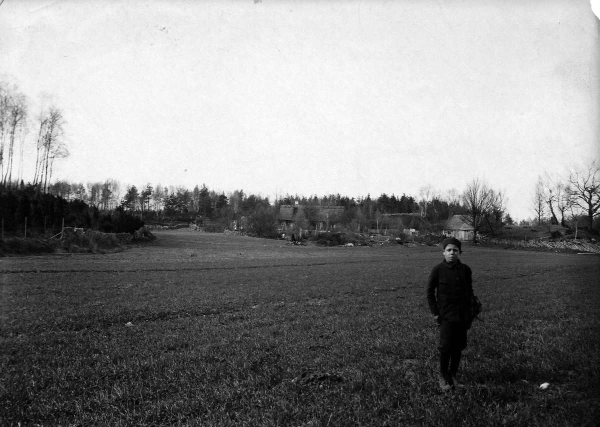 Häckningsterräng för trädlärka. 13 maj 1907.