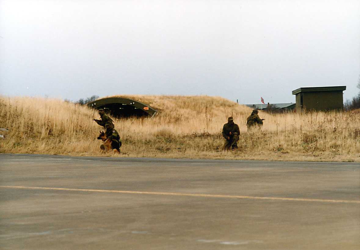 Gruppe. Fire personer i uniform med hund, flybunker og bygninger i bakgr.