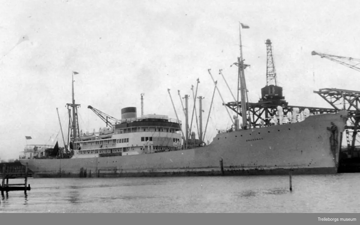 Motorfartyget Amazonas (Johnson Line) lossar i Trelleborgs hamn.