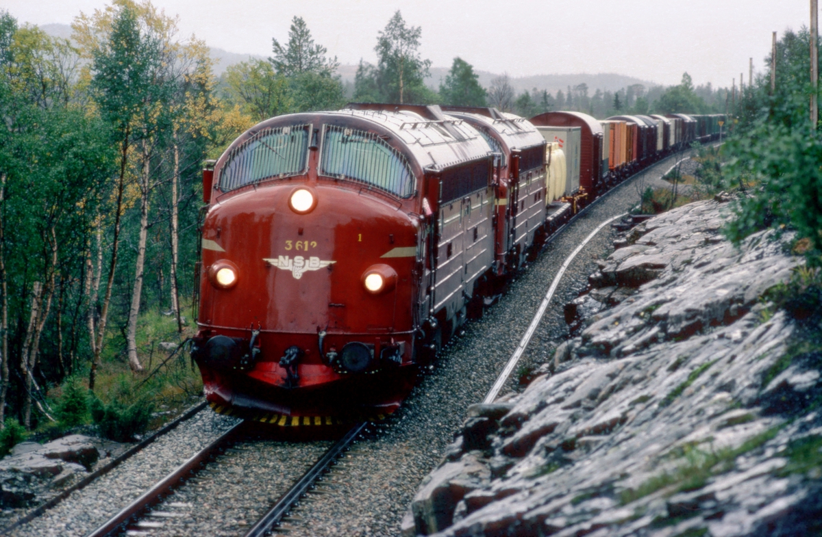 Godstog 5793, Trondheim - Bodø, med NSB dieselelektriske lokomotiver type Di 3. Fotostopp i Svenningdal.