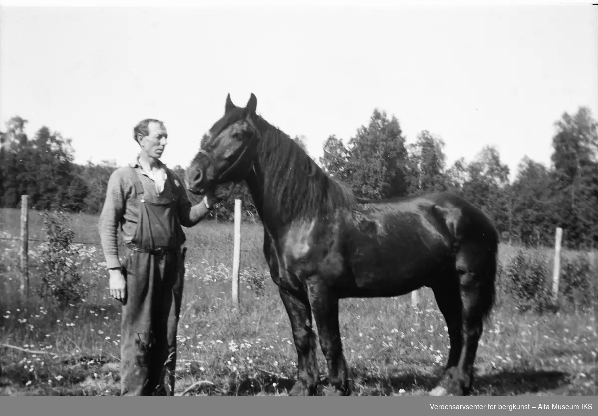 Ole Roald og hesten Jacob står ute i solen.
1948