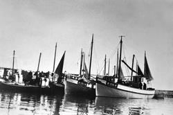 båter, fiskebåter, garnfiske, makrellfiske,