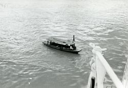 T/S 'Kingsville' (b.1956, Lithgows Ltd., Port Glasgo)  på Fi