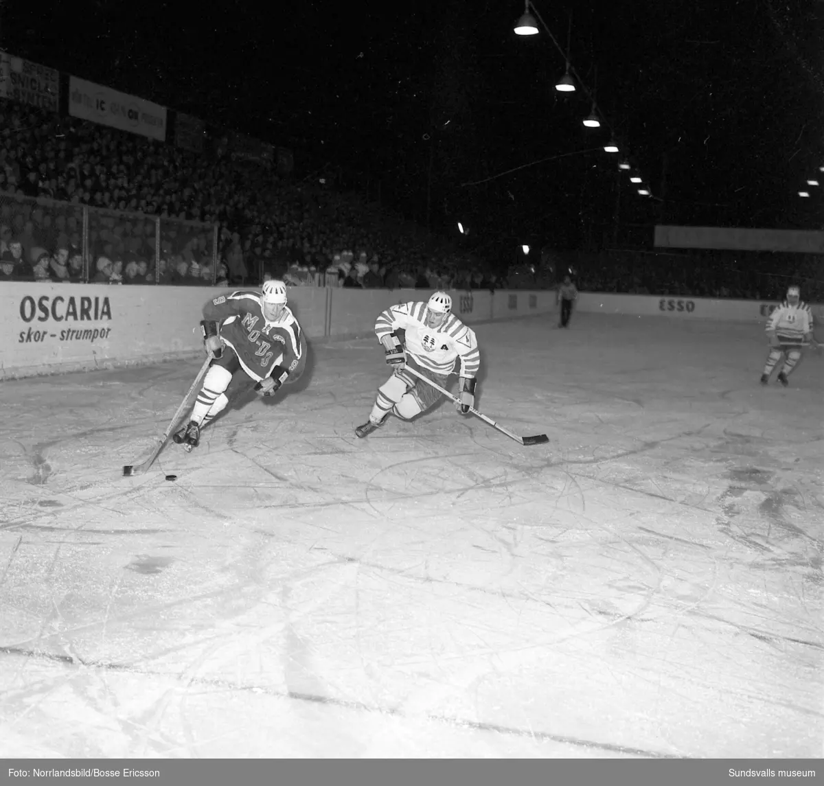 Klassiskt Västernorrlandsderby i ishockey mellan Wifsta/Östrand och Modo på Isstadions uterink i Timrå.