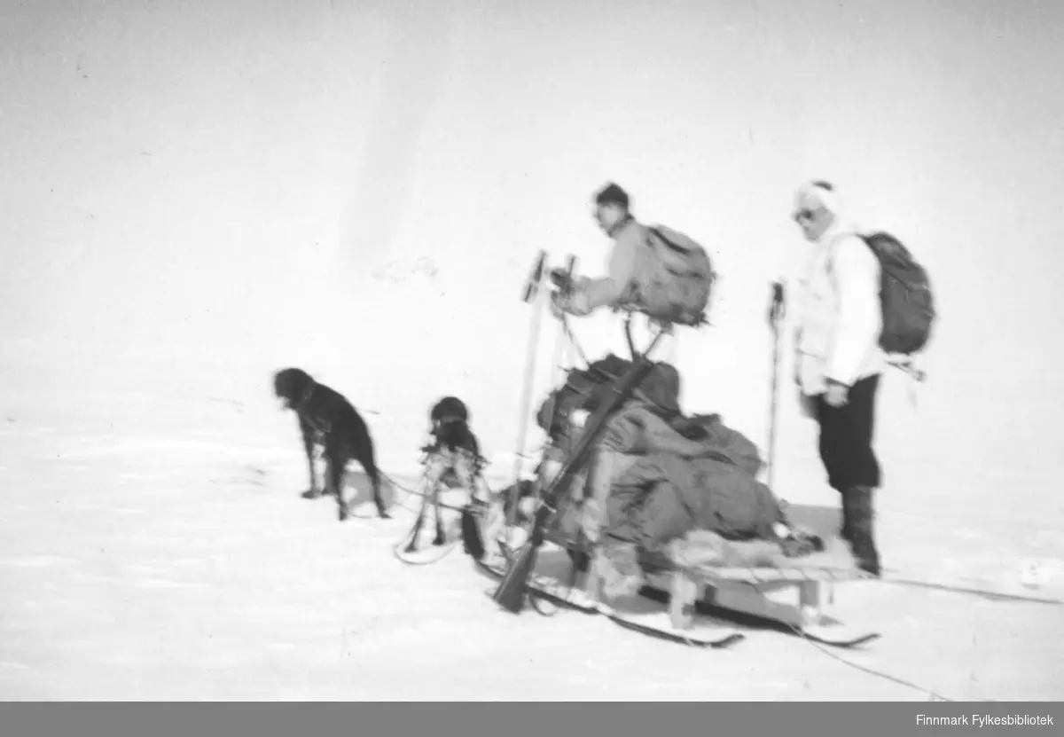 Påsken 1950. Sigbjørn Isaksen, Fritz Ebeltoft og Petter Hildonen gikk på ski fra Vadsø til Tana. De hadde Petter Hildonens hunder med på turen