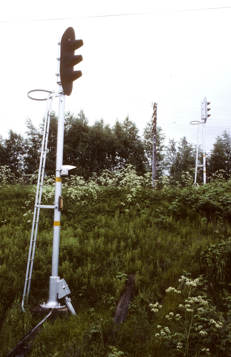 Innkjørhovedsignal C og A for henholdsvis Namsosbanen og Nordlandsbanen på Grong stasjon. Hovedsignalene er utstyrt med hjelpesignal, som med batteridrift kunne nyttes ved strømstans eller feil på signalanlegget. Grong hadde såkalt enkelt sikringsanlegg.