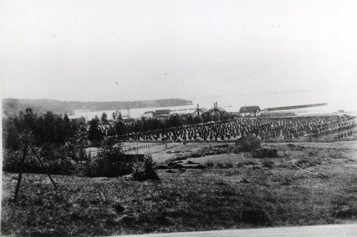 Moviken, Buråkers socken. Kolugnarna och ångaren Tamm på utgående med tompråmar, omkring 1900.