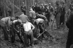 Åpning av graver i krigsfangeleiren på Falstad, Faldstadskog