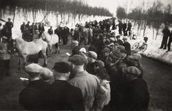 Folkemengde og hester på en bygdevei.