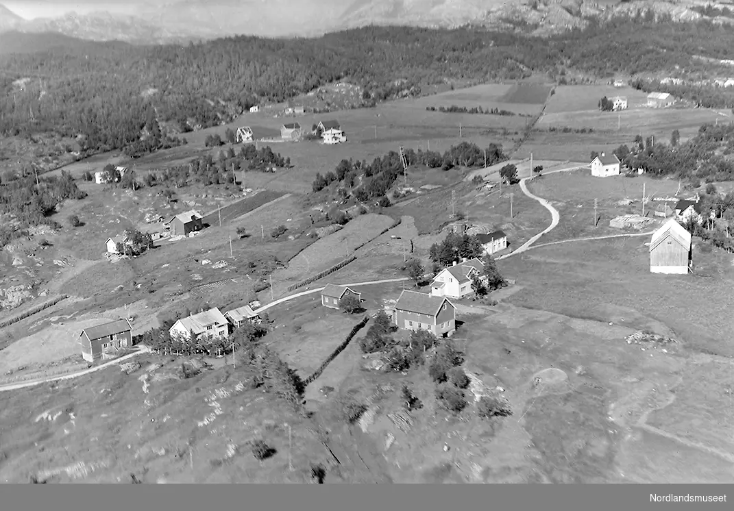 Flyfoto, Løding. Bygninger, dyrka mark, veier og trær. Flere gårdsbruk ...